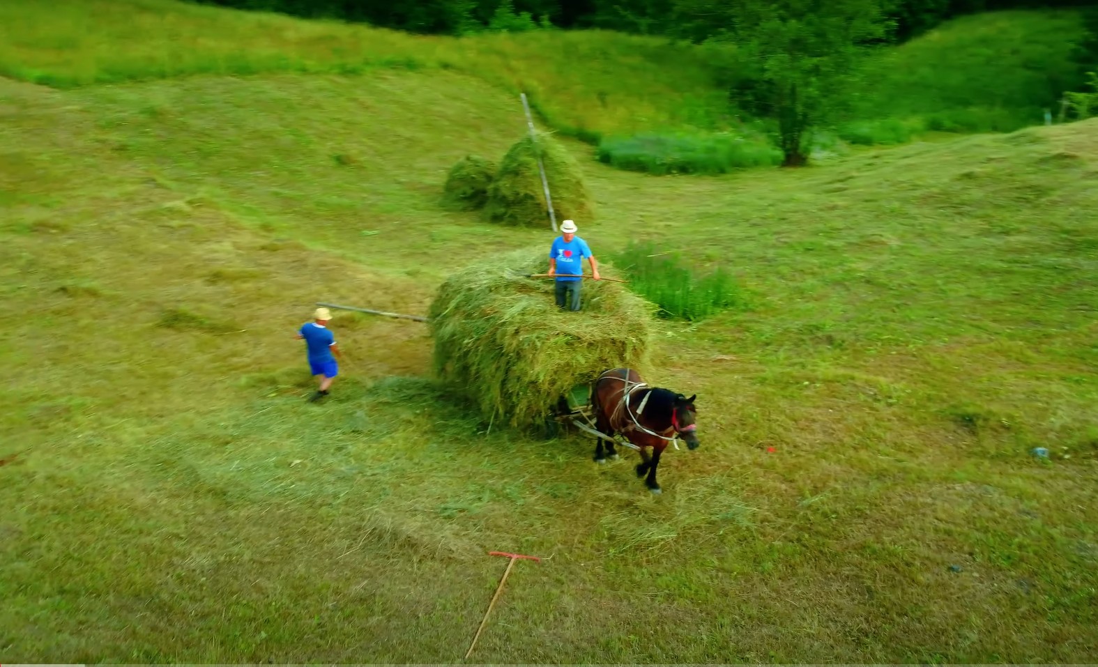 Cinematic Drone Photography – Traditional Haymaking in the Carpathian Mountains Drone footage of traditional Romanian haymaking in the Carpathian Mountains, farmers with horse and cart, cinematic aerial photography